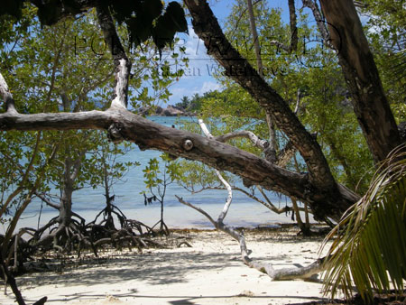 Seychelles, escursioni a Praslin